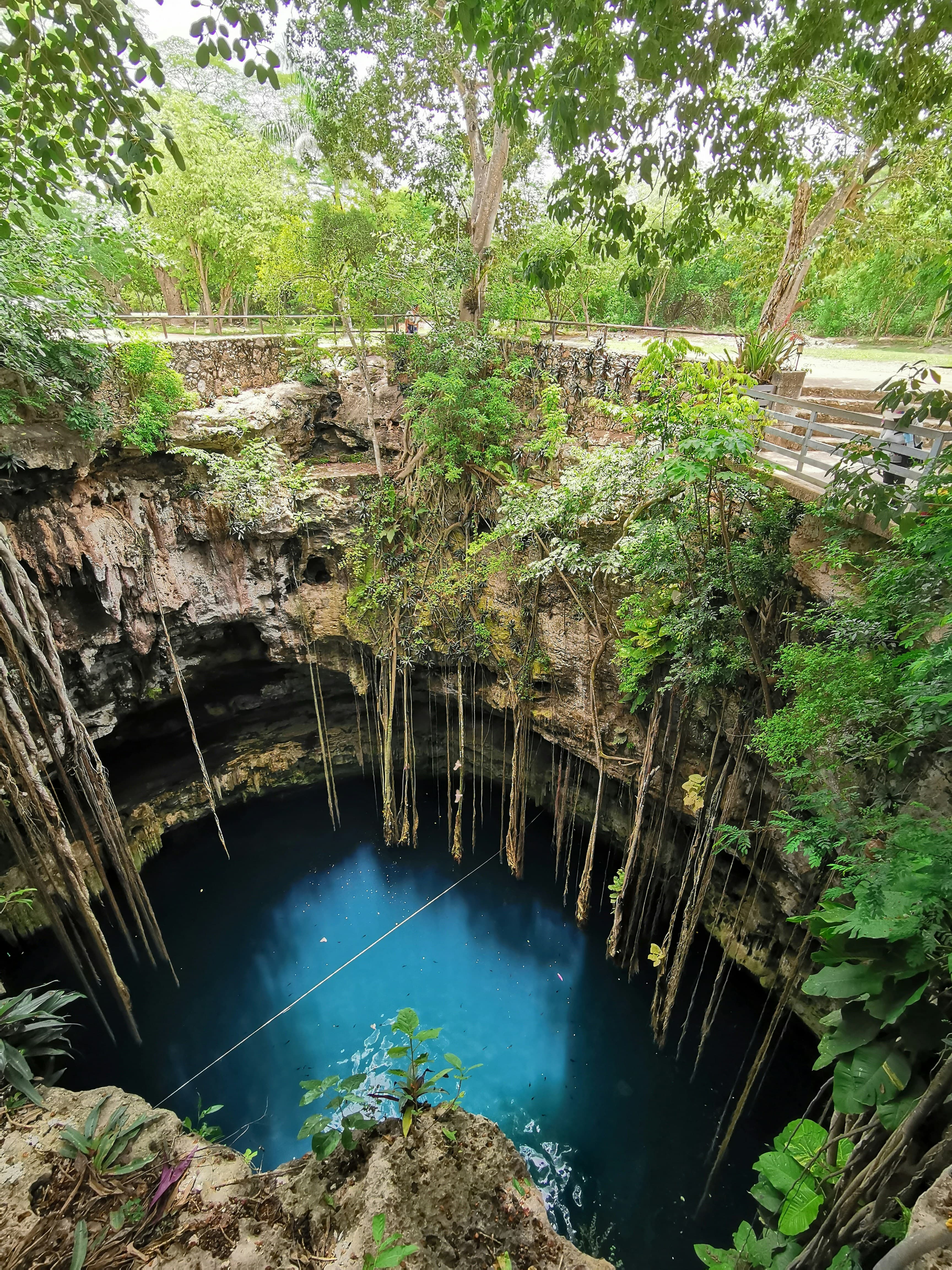 Naturaleza
