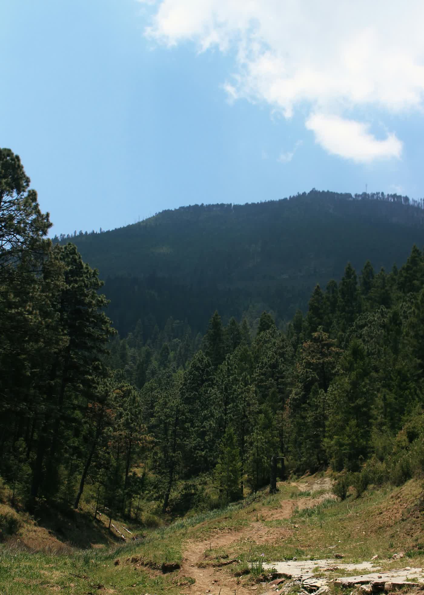 Sierra de Arteaga