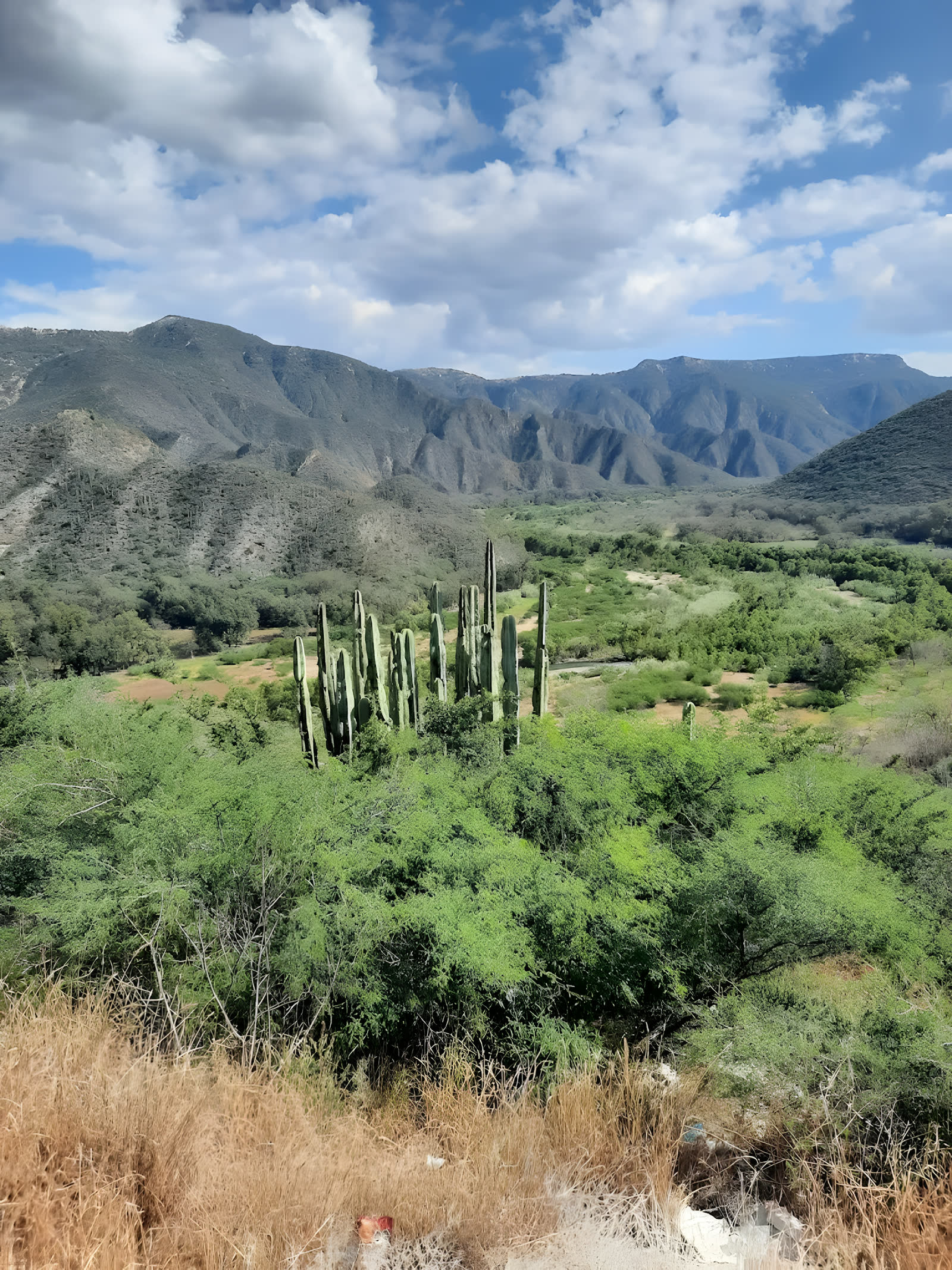Barranca de Metztitlán