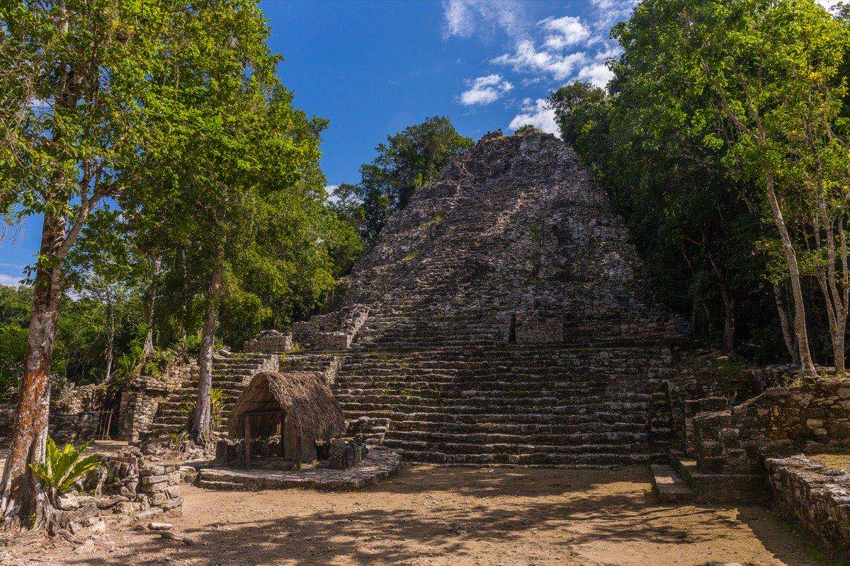 Cobá
