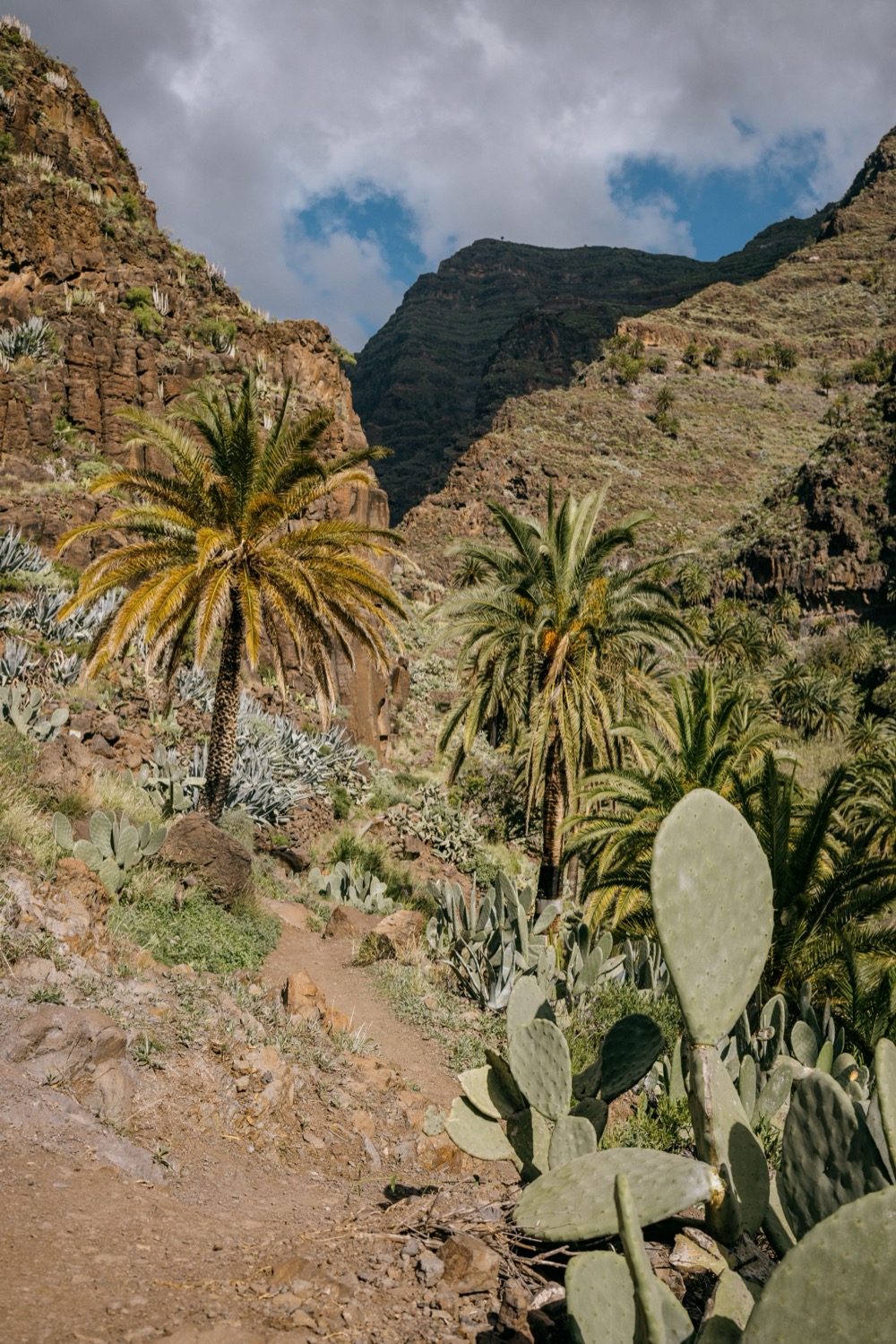 Cañón del Nacapule